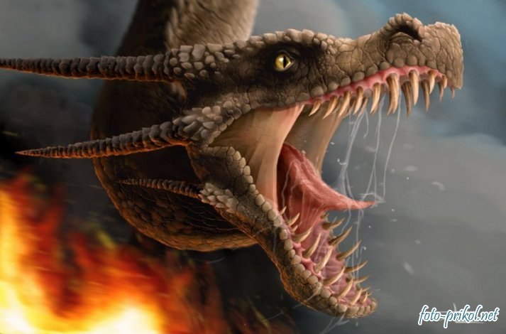 Alexandr Belfegor | Санкт-Петербург