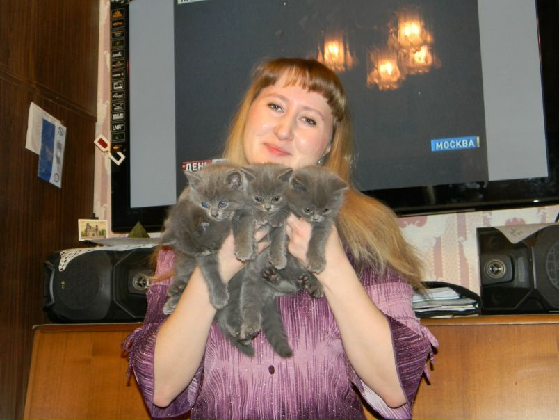 №24, Ирина Стачий, Москва №24, Ирина Стачий, Москва