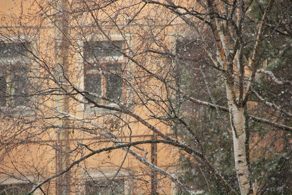 Алина Скрыган | Санкт-Петербург