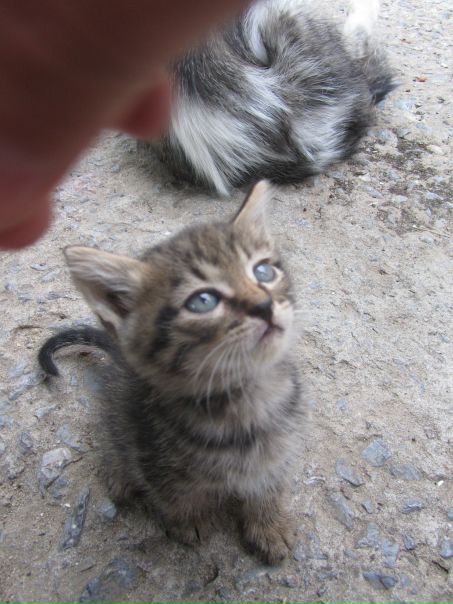 №38, Светлана Дубинкина №38, Светлана Дубинкина