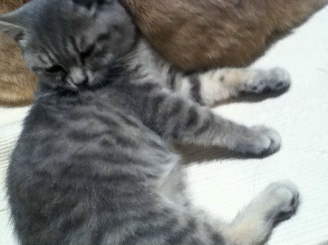 Наталья Лидовская | Одесса