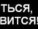 Денис Рабушкин фотография #23 (источник - https://vk.com/id134701668)
