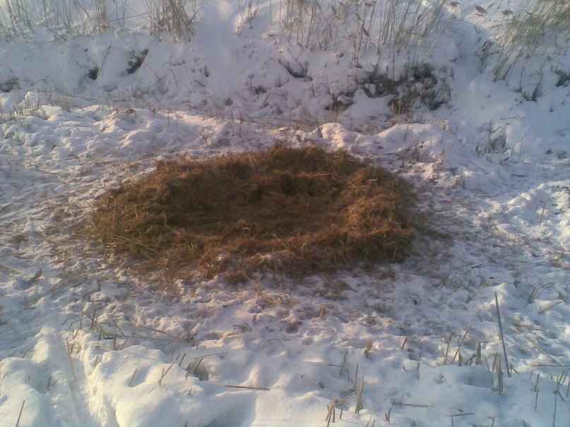 Сергей Сидоров | 