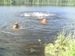 Александр Муха фотография #19