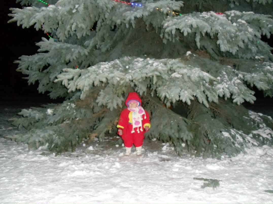 Ірина Микитка-Коржанівська | Львов