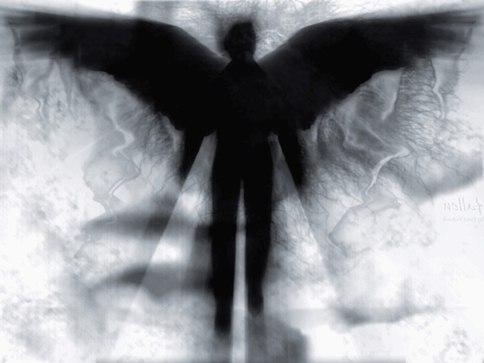 Роман Довгуша | 