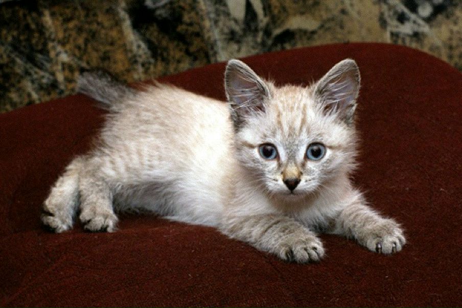 №28, Денис Хрипунов, 50 лет, Челябинск №28, Денис Хрипунов, 50 лет, Челябинск