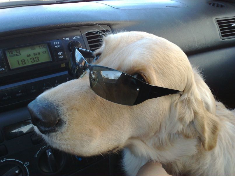 Анна Орлова | Санкт-Петербург