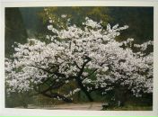 №30 Darya Kuzmina 09.09: профиль, фото, статус - ВКонтакте