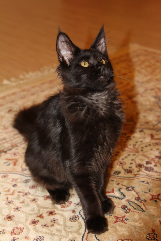 Вера Доронина | Сыктывкар