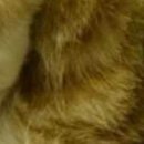 №22, Александр Нетипанов, 46 лет, Санкт-Петербург №22, Александр Нетипанов, 46 лет, Санкт-Петербург