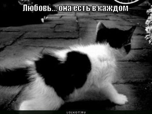 Любовь Сергеева | Ялта