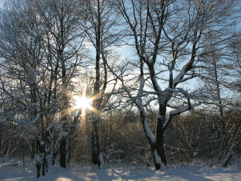 Ольга Щербакова РыЖиЙ | Санкт-Петербург