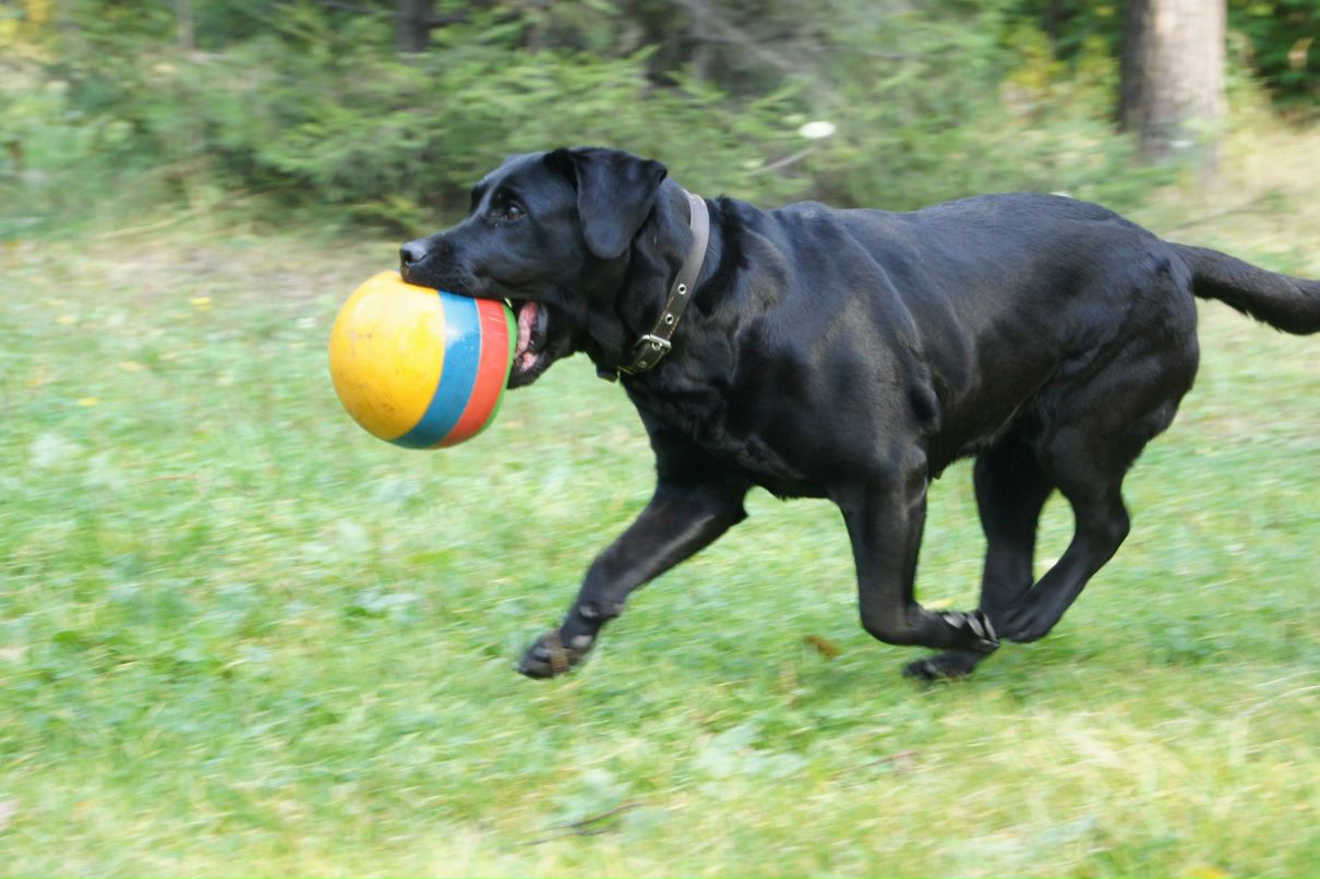Юлия Попова | Екатеринбург