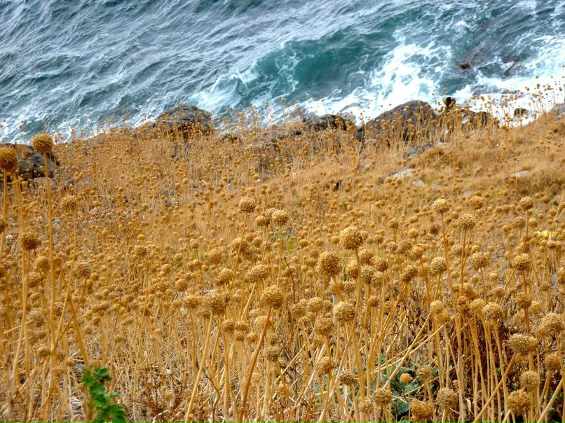 Константин Билибин | Новороссийск