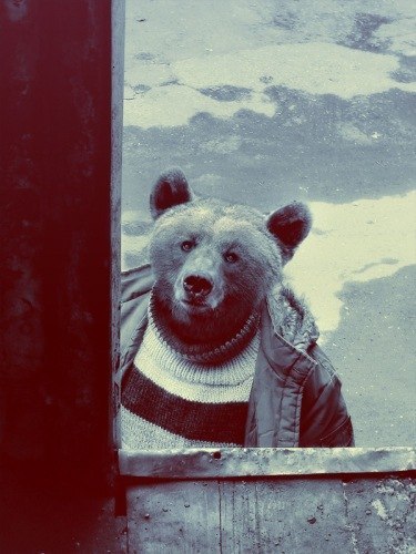 Дмитрий Лис | Северодвинск