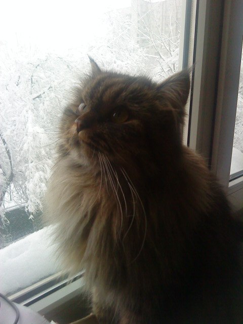 Мадина Жаманбаева | Алматы