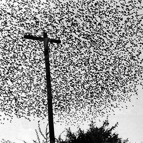 Mark Stefanovski | Москва