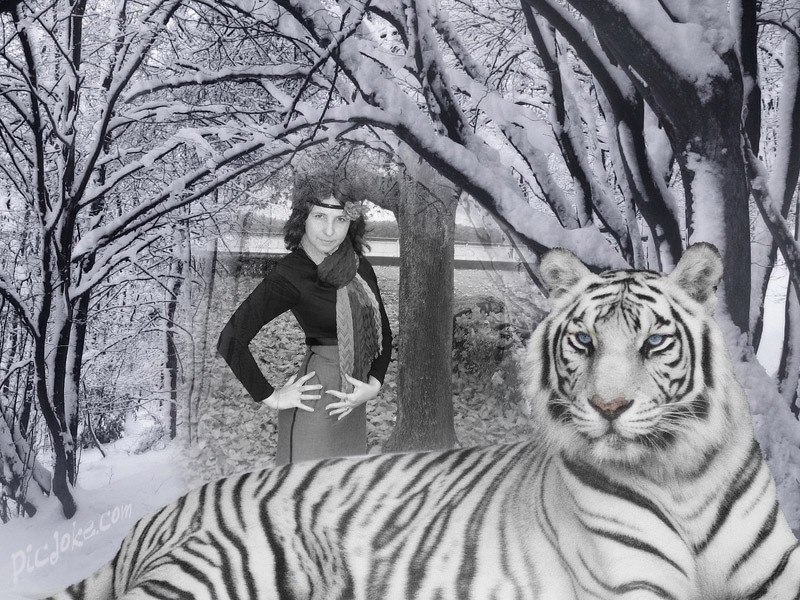 Диана Сарлучану | Измаил