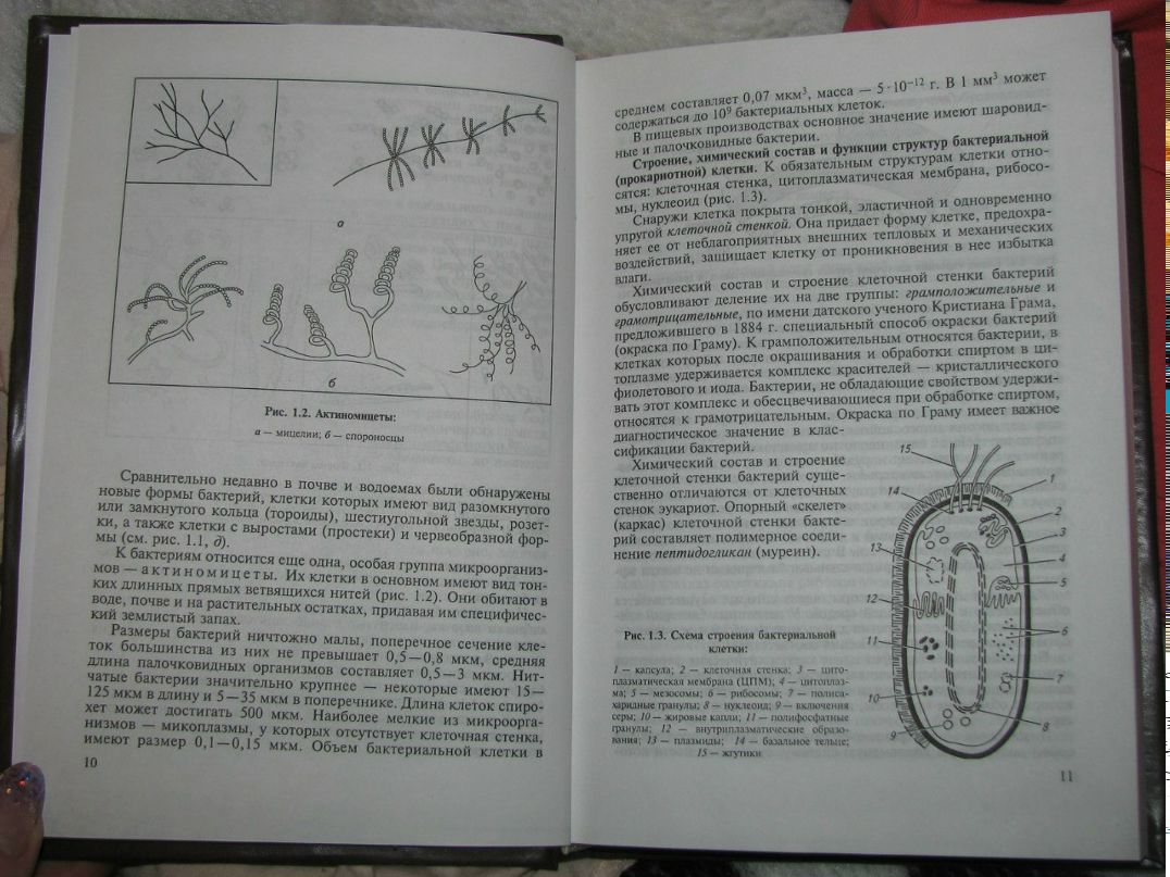Маргарита Боброва Гуня | Ивантеевка