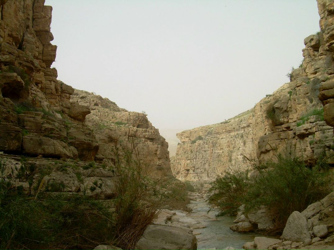 Валентина Вася | Иерусалим