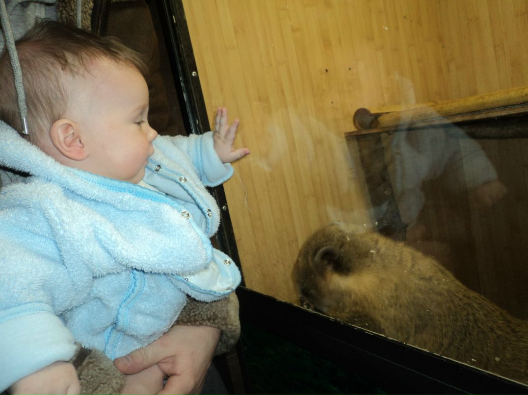 Вячеслав Трофимовский | Санкт-Петербург