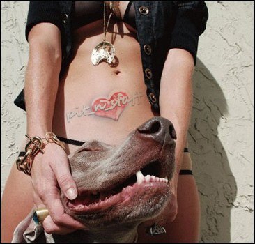 Евгений Плановой | Киев