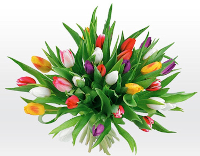 Виктория Беликова | Люберцы