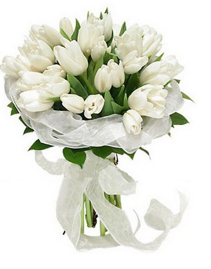 Виктория Беликова | Люберцы