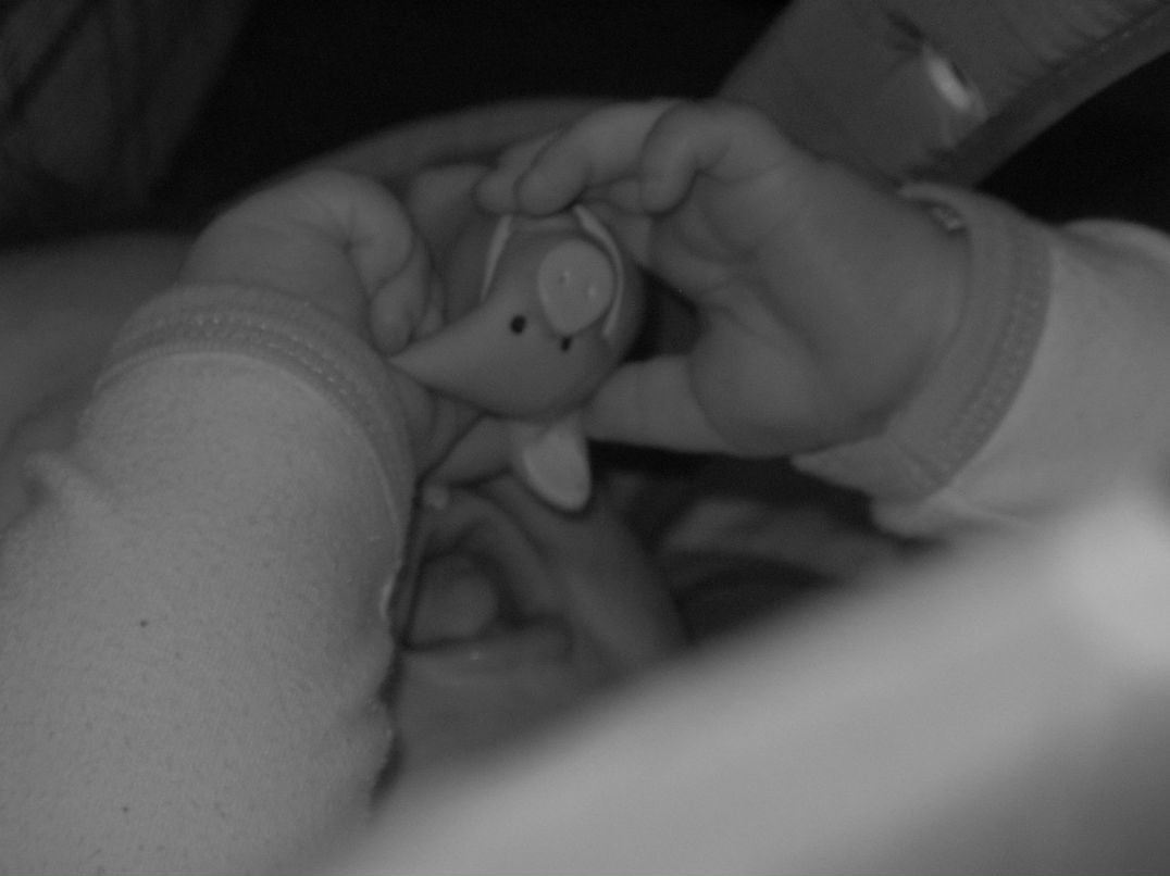 Екатерина Виноградова | Москва