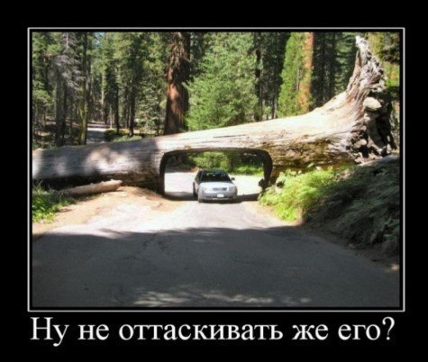Юра Мамчур | Одесса