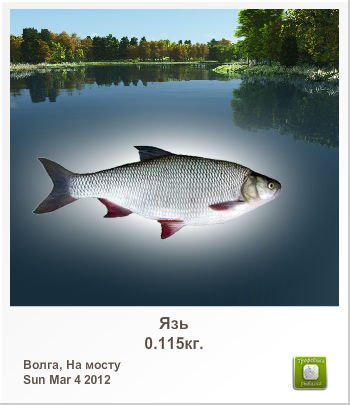 Денис Севостьянов (((Denchik))) | Самара