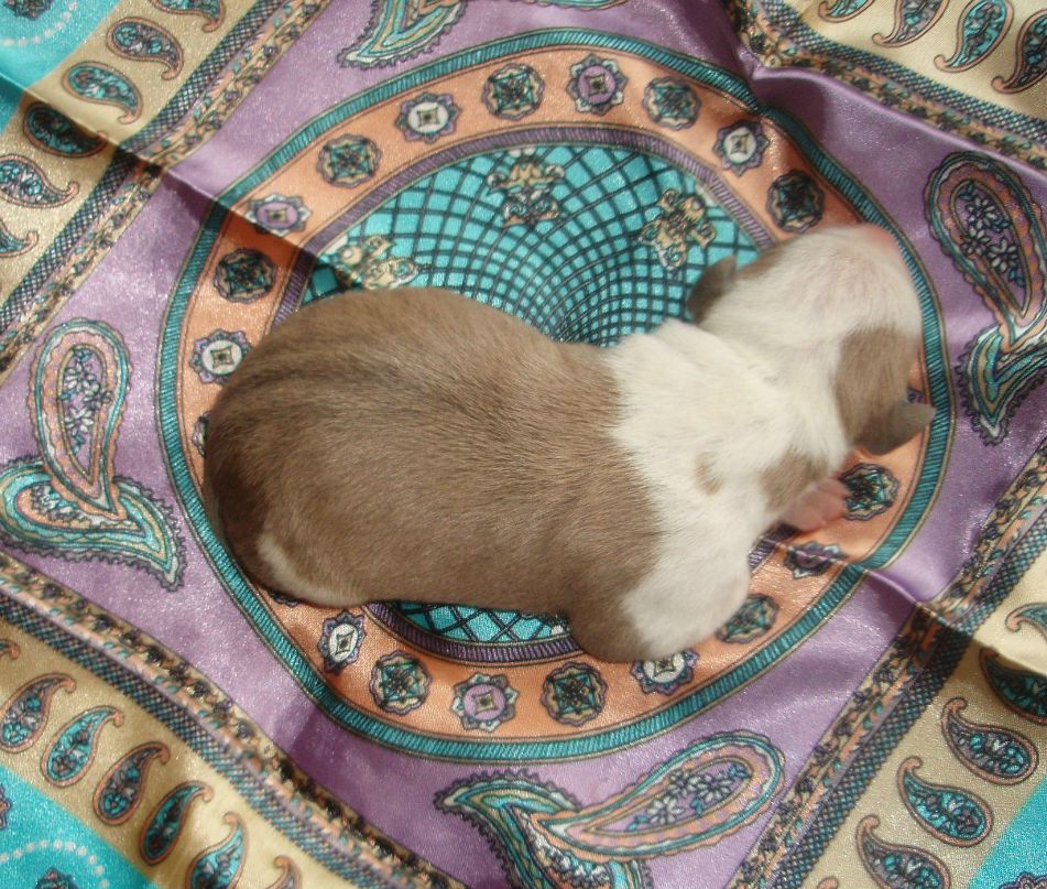 Жанна Золотухина 