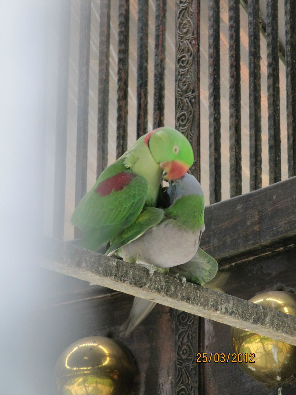 Ксения Маркелова | Москва