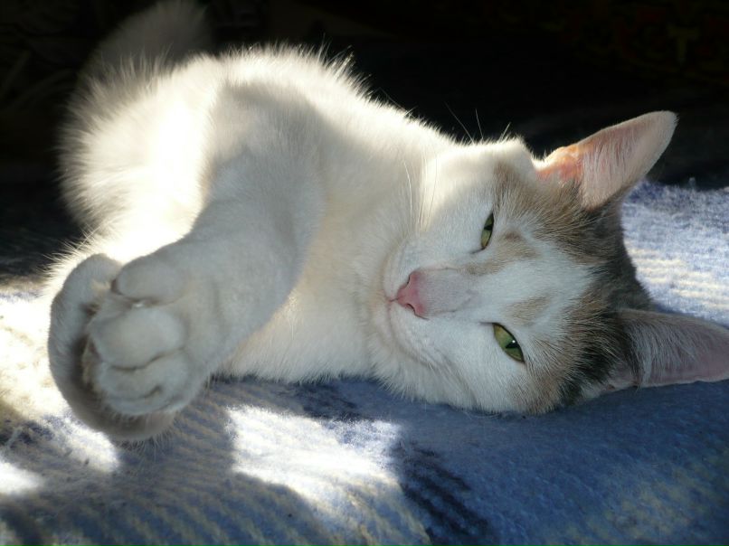 Евгения Леуш | Красноярск