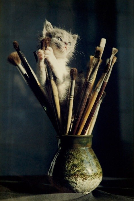 Анастасия Кирсанова | Севастополь