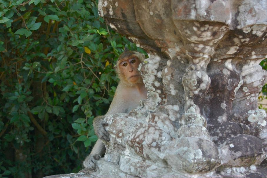 №103, Кира Резник, Санкт-Петербург №103, Кира Резник, Санкт-Петербург