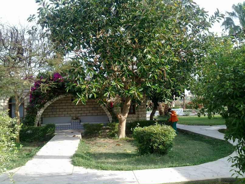 Валерий Мельников | Камышлов