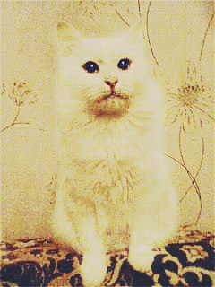 Влада Исаева | Барановичи