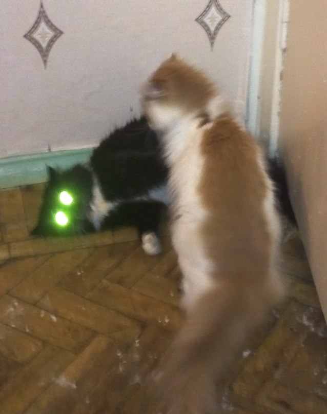 Skotik Metal | Мурманск