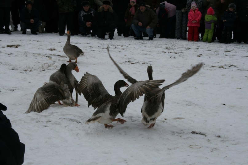 Светлана Плотникова | Нижний Новгород