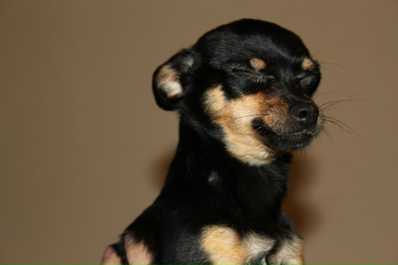 Наталья Демидова | Тюмень