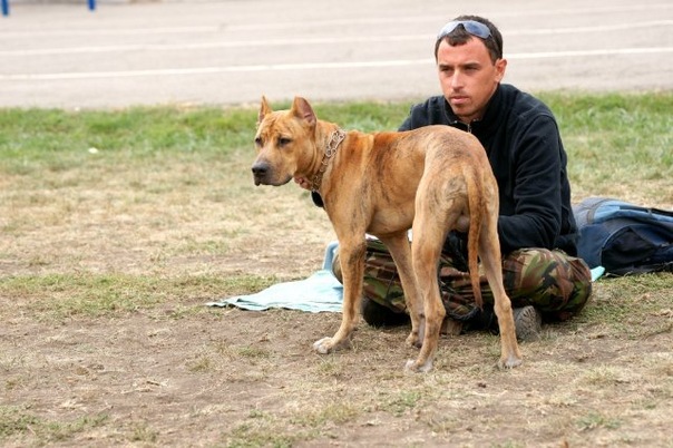 №57, Вова Кавицкий, 40 лет, Запорожье №57, Вова Кавицкий, 40 лет, Запорожье