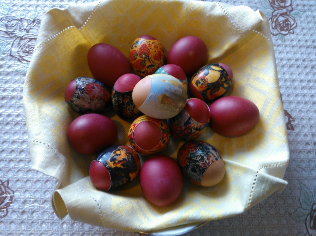 Дмитрий Галкин | Вологда