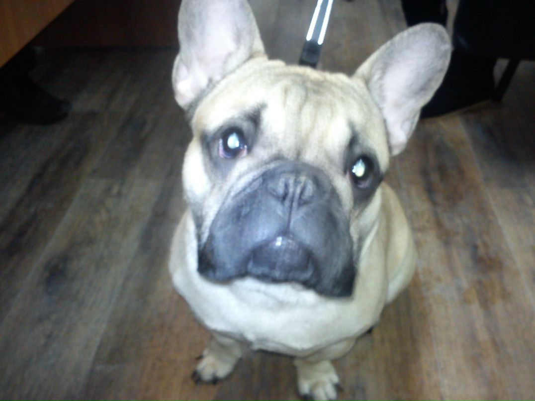 Виктор Крюков | Нижний Новгород