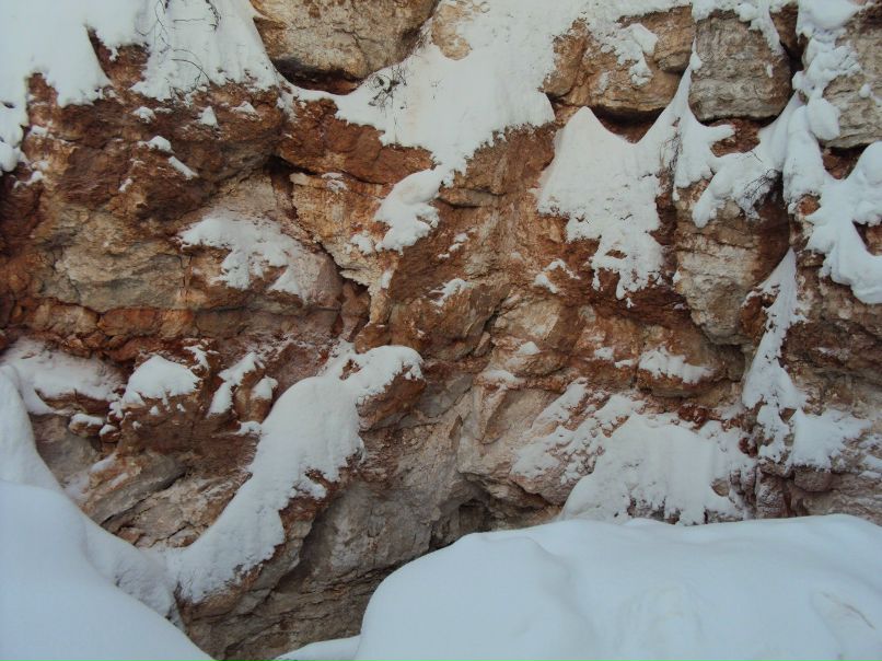 Елена Антипина | 