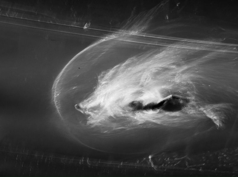 Стас Авруцкий | Сочи