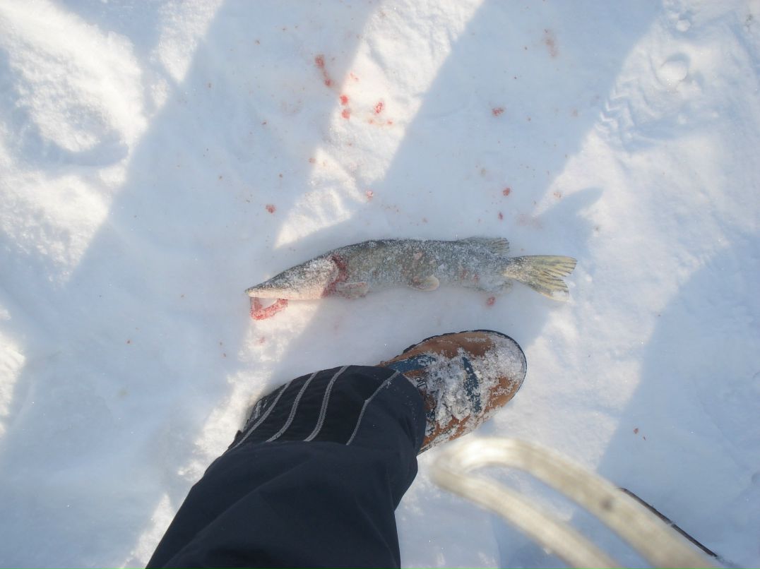 Дмитрий Ганнин | Сумы