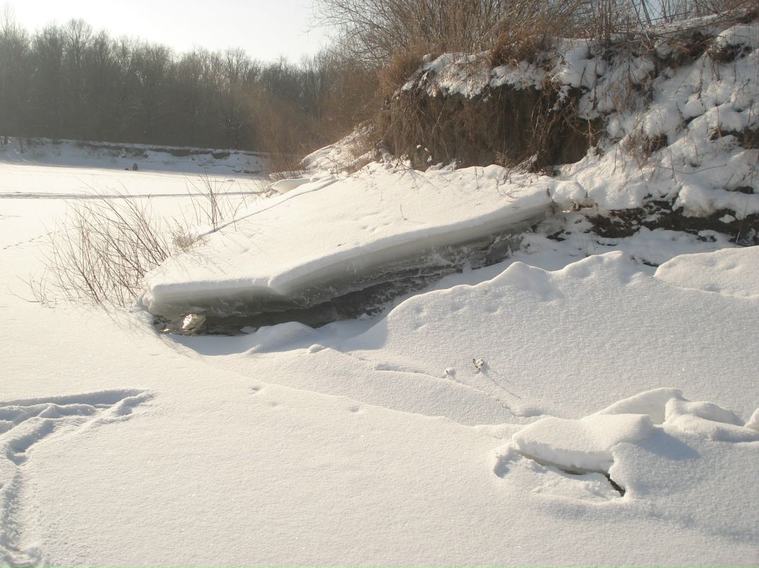 Дмитрий Ганнин | Сумы