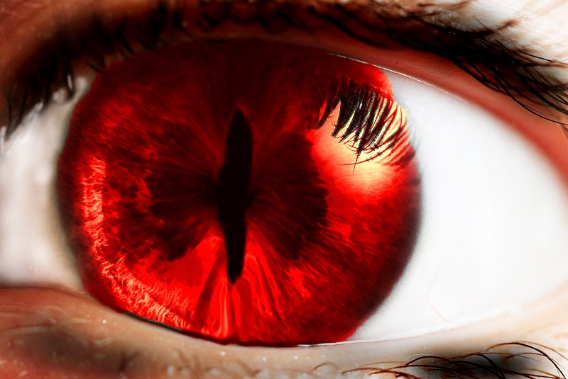 Даниил Чекмарев | Подольск